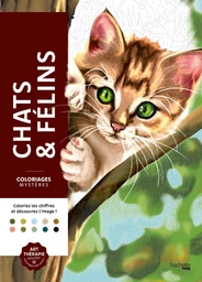 Couverture du coloriage mystère Chats et félins
