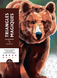 Couverture du coloriage mystère Triangles magiques