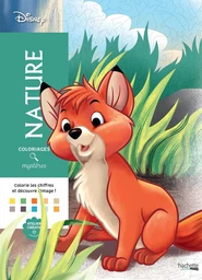 Couverture du coloriage mystère Nature