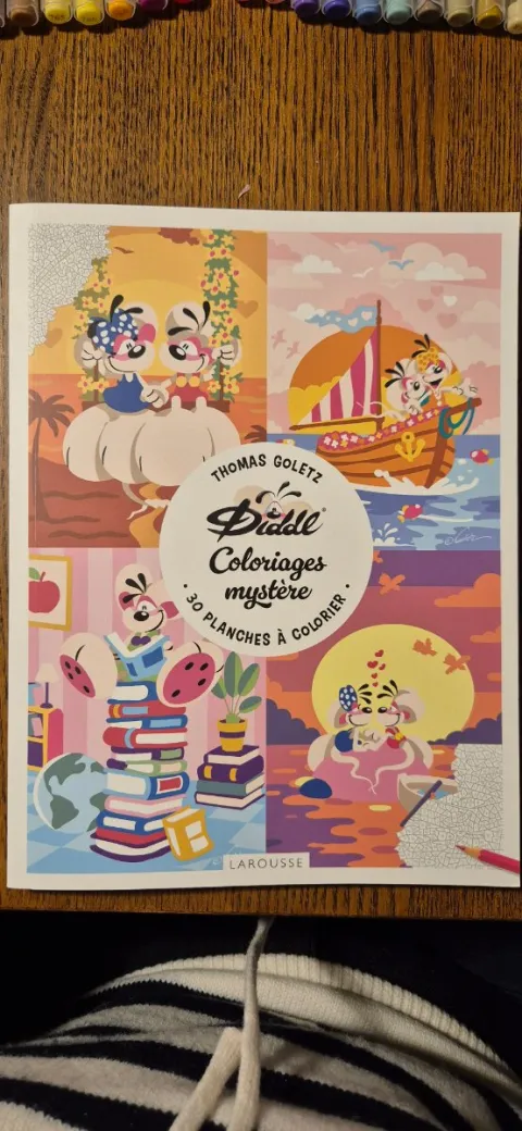 Couverture du coloriage mystère Diddl